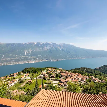 Hotel Pineta Campi 4*